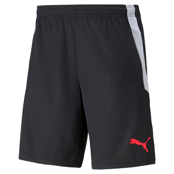 Puma - TeamLIGA, Training Shorts 2