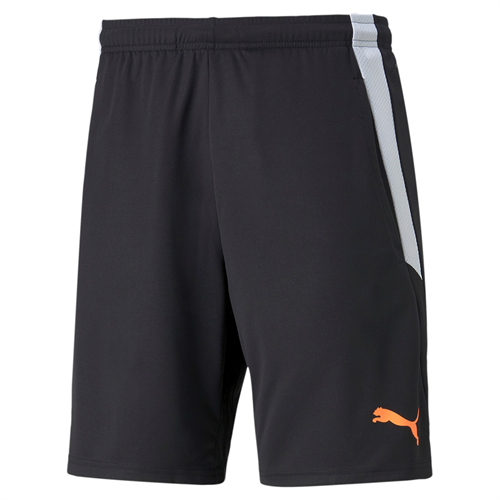 Puma - TeamLIGA 2, Training Shorts