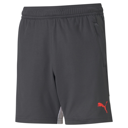 Puma - LIGA, Training Shorts Kinder