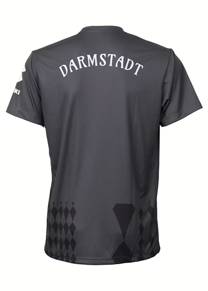 Craft - Darmstadt GK Jersey 25/26, Fantrikot