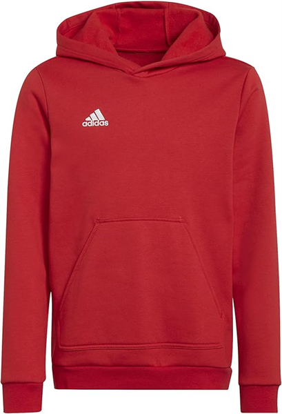 Adidas - Entrada 22 Hoody, Kapuzenpullover