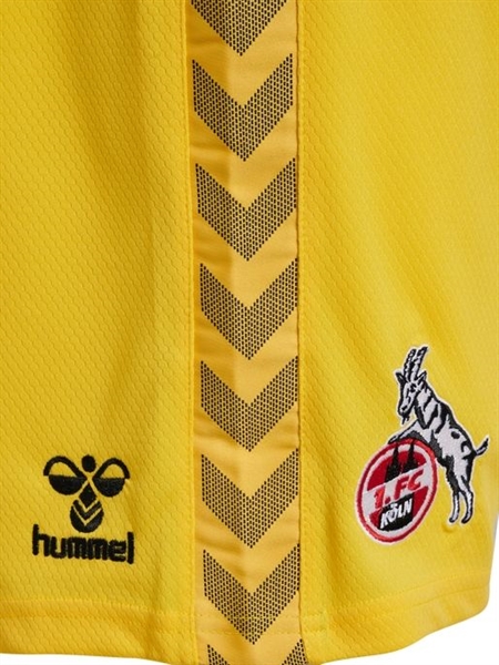 HUMMEL - 1FCK 23/24 GK SHORTS, Hose