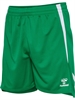 HUMMEL - hmlLEAD 2.0 Shorts, Kurze Hose