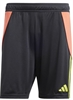 ADIDAS - Tiro 24 Shorts
