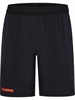 HUMMEL - hmlBLAZE Pro Training Shorts, Hose