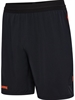 HUMMEL - hmlBLAZE Pro Training Shorts, Hose