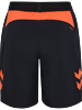 HUMMEL - hmlBLAZE Pro Training Shorts, Hose