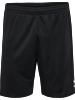 SSV ZUFFENHAUSEN – Hummel hmlESSENTIAL SHORTS, Trikothose