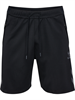 SSV ZUFFENHAUSEN – Hummel hmlCIMA 2.0 Short