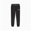 Puma - SQUAD Sweatpants TR cl, Jogginghose
