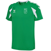 SSV ZUFFENHAUSEN – Hummel hmlCORE 2.0 Jersey S/S, Jugend