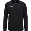 Hummel - hmlAUTHENTIC Training, Sweatshirt