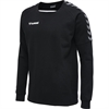 Hummel - hmlAUTHENTIC Training, Sweatshirt