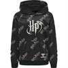 Hummel - HARRY POTTER HOODIE