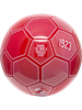 HUMMEL - DK (DBU) FAN 24 RED FB, Fu�ball