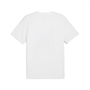 PUMA - MENS GRAPHIC TEE TRAIN PUMA, T-Shirt