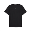 PUMA - Seasons DryCell Tee, T-Shirt