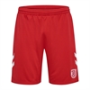 HUMMEL - RGB 24/25 HOME SHORTS, Hose