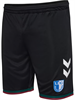 HUMMEL - 1FCM 24/25 3RD SHORTS, Hose