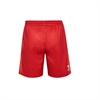 HUMMEL - 1FCK 23/24 KARNEVAL SHORTS, Hose