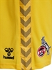 HUMMEL - 1FCK 23/24 GK SHORTS, Hose