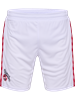 HUMMEL - 1FCK 23/24 HOME SHORTS, Hose