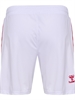 HUMMEL - 1FCK 23/24 HOME SHORTS, Hose