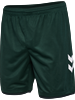 HUMMEL - WER 23/24 3rd SHORTS, Hose