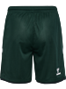 HUMMEL - WER 23/24 3rd SHORTS, Hose