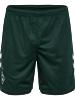 HUMMEL - WER 23/24 3rd SHORTS, Hose