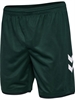 HUMMEL - WER 23/24 3rd SHORTS, Hose