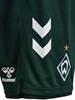 HUMMEL - WER 23/24 3rd SHORTS, Hose