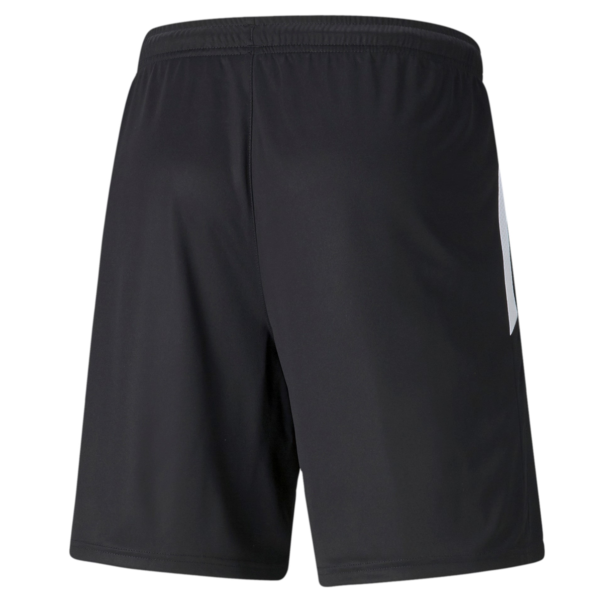 Puma - TeamLIGA, Training Shorts 2