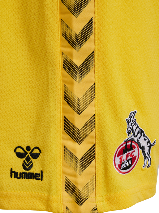 HUMMEL - 1FCK 23/24 GK SHORTS, Hose