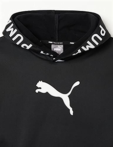Puma - TRAIN PWR FLEECE HOODIE,Kapuzenpullover