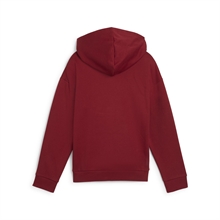 Puma - ESS+ SCRIPT Metallic Hoodie FL G, Hoodie