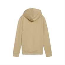 PUMA - ESS+ Metallic Logo Hoodie, Kapuzenpullover