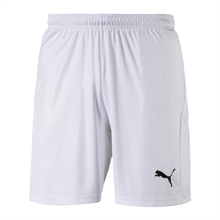Puma - LIGA Shorts Core, Herren