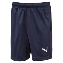 Puma - LIGA Shorts Core Jr
