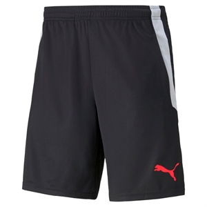 Puma - TeamLIGA, Training Shorts 2