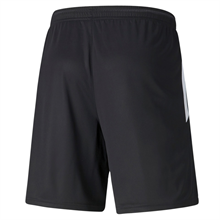 Puma - TeamLIGA, Training Shorts 2