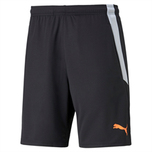 Puma - TeamLIGA 2, Training Shorts