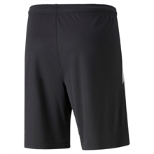 Puma - TeamLIGA 2, Training Shorts