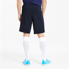 Puma - teamGOAL 23 Casuals, Shorts