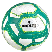 DERBYSTAR - FB-GOAL v25, Fuball