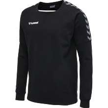 Hummel - hmlAUTHENTIC Training, Sweatshirt