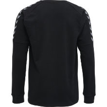 Hummel - hmlAUTHENTIC Training, Sweatshirt