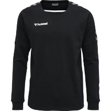 Hummel - hmlAUTHENTIC Training, Sweatshirt