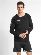 Hummel - hmlAUTHENTIC Training, Sweatshirt