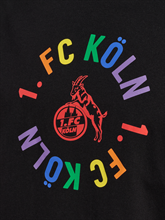 HUMMEL - 1FCK 23/24 FLAG TEE SS, T-Shirt